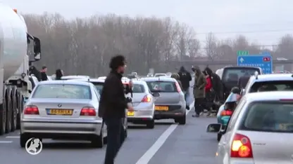 Hof is mild voor blokkeerfriezen en Jenny Douwes: negentig uur taakstraf