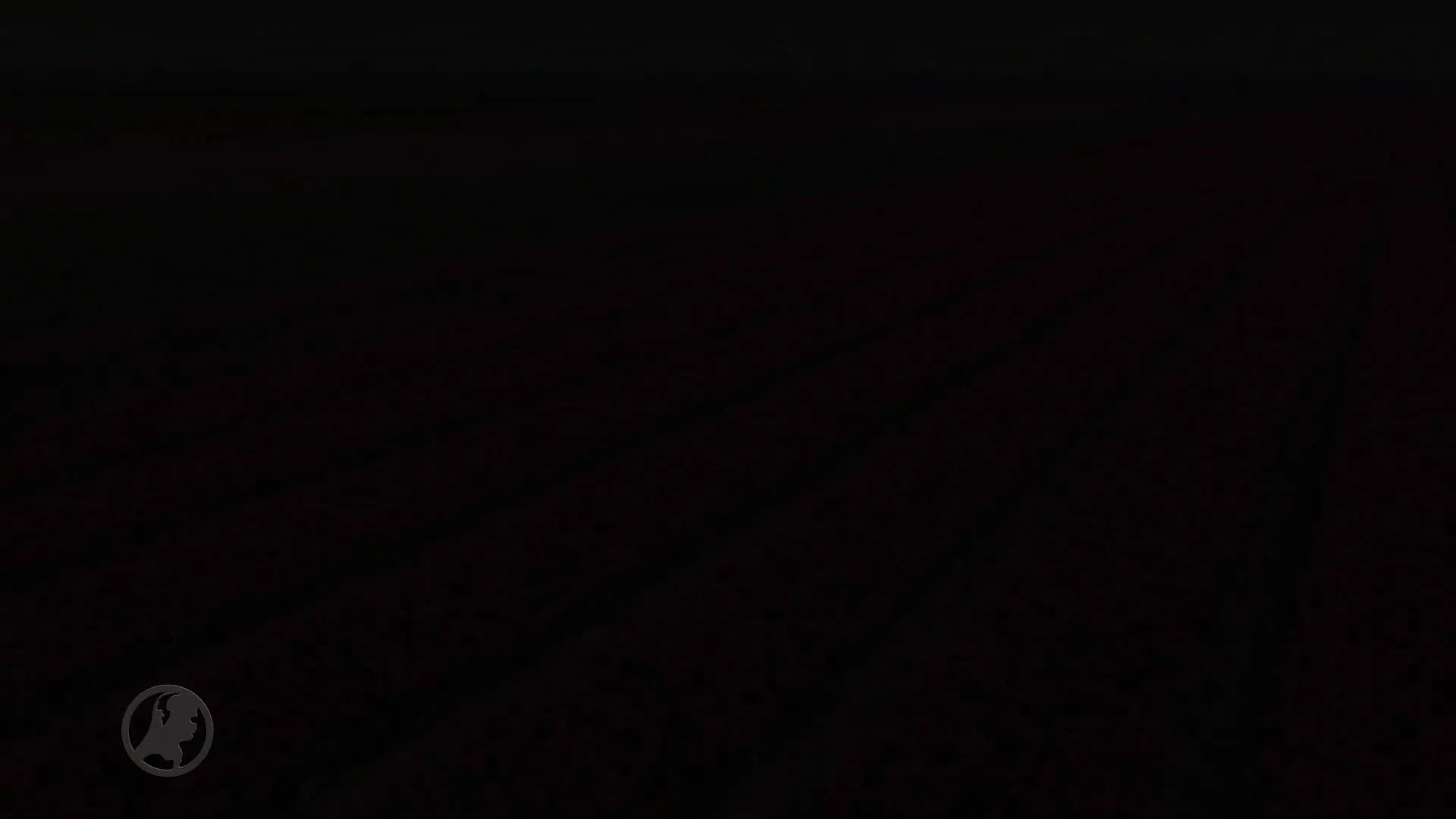 Prachtige dronebeelden: de tulpenvelden bij Wognum staan vol in bloei