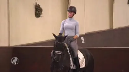 Peperduur paard valselijk online te koop