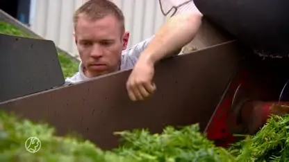 Taxus Taxi haalt taxusnaalden op en helpt kankerpatiënten: ‘Wonderlijk dat een tuinplant dit kan.’