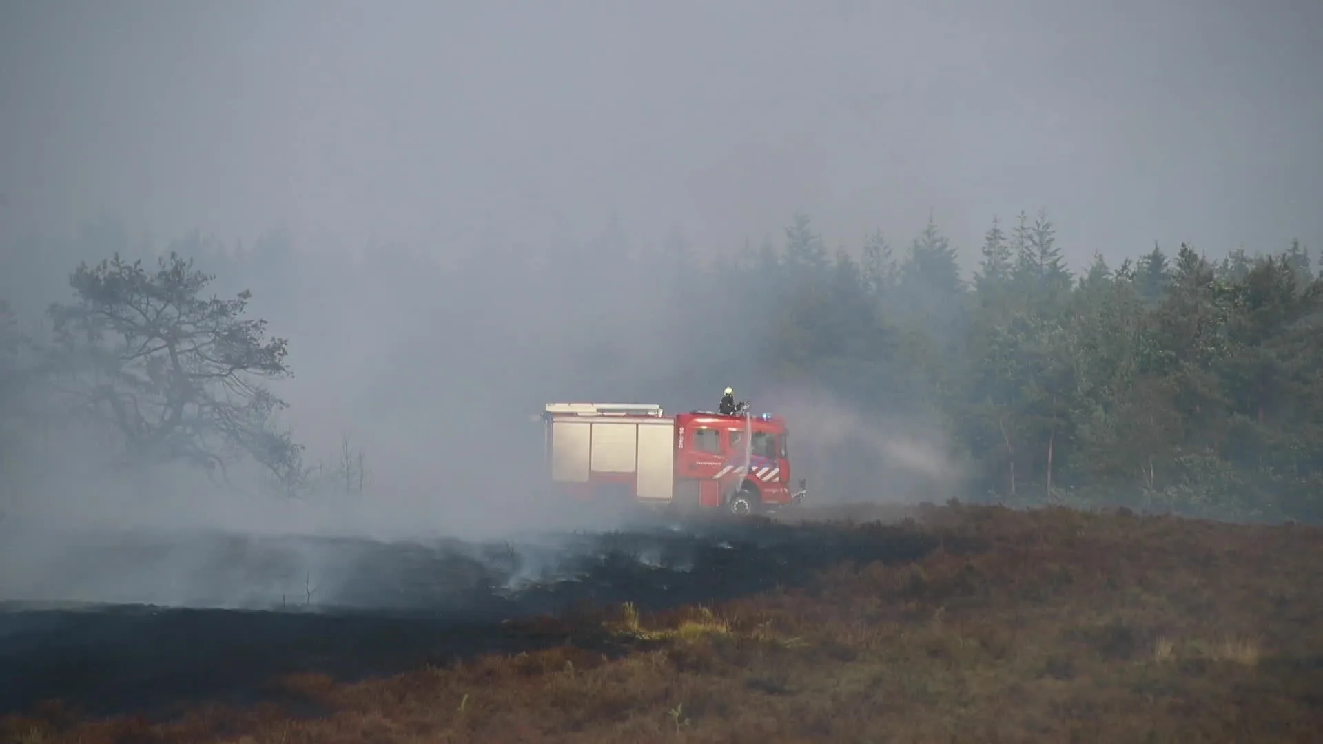 Flinke heidebrand in Elspeet
