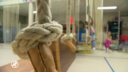 Leerlingen van basisscholen in achterstandswijken zwaar benadeeld