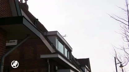 Ministerie plant Schiphol informatieavond precies in vakantie