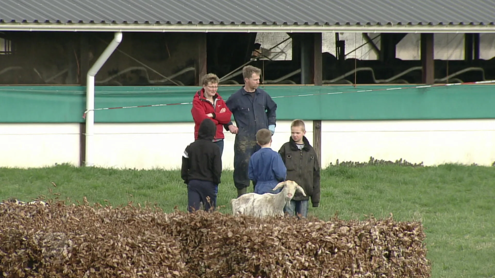 Ruim 100 geiten dood door grote stalbrand Zeewolde