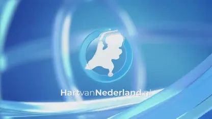 Dode en gewonde bij botsing tussen auto en trein in Haelen