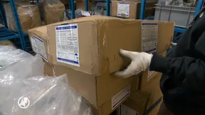 Ruim 200 kilo haaienvinnen in beslag genomen op Schiphol