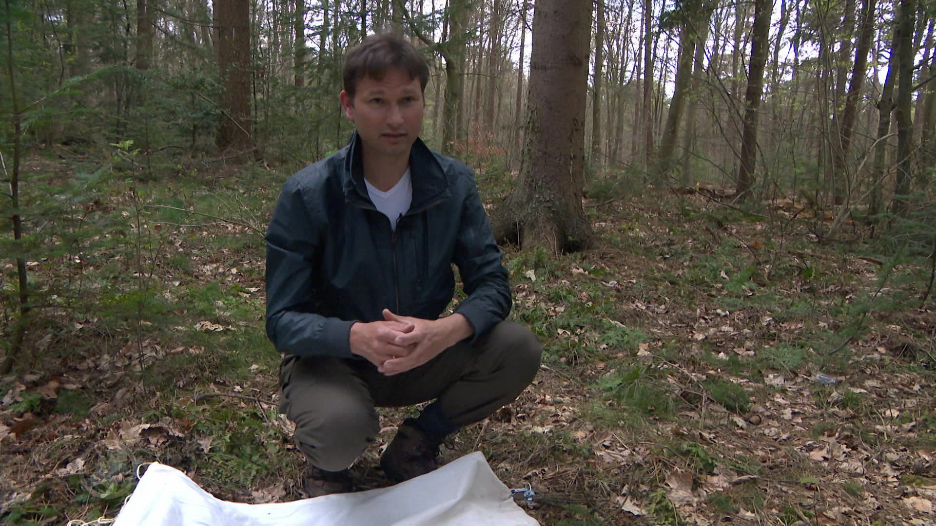 Zo voorkom je een tekenbeet