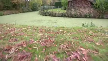 Man redt meisje (3) uit te water geraakte auto in Naaldwijk