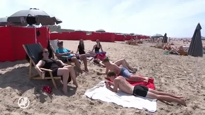 Strandgangers over de drukte