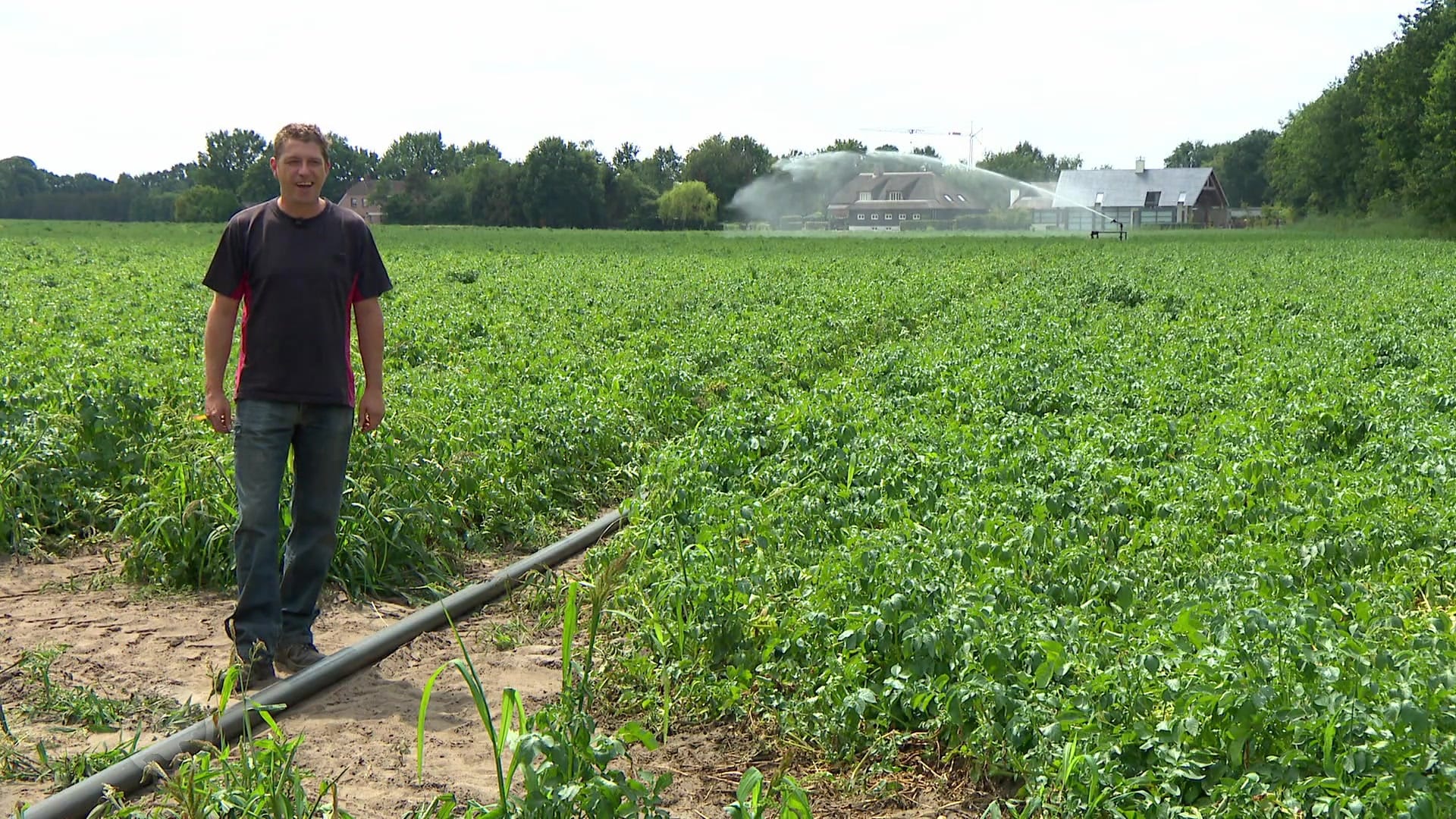 Extreme droogte legt historische akkers bloot