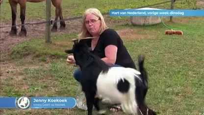 Jenny eindelijk verlost van Geert de geit: "Hij werd steeds brutaler"