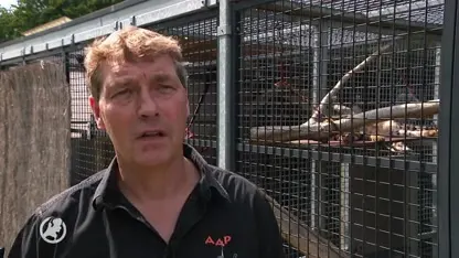 AAP slaat alarm over handel in exotische dieren