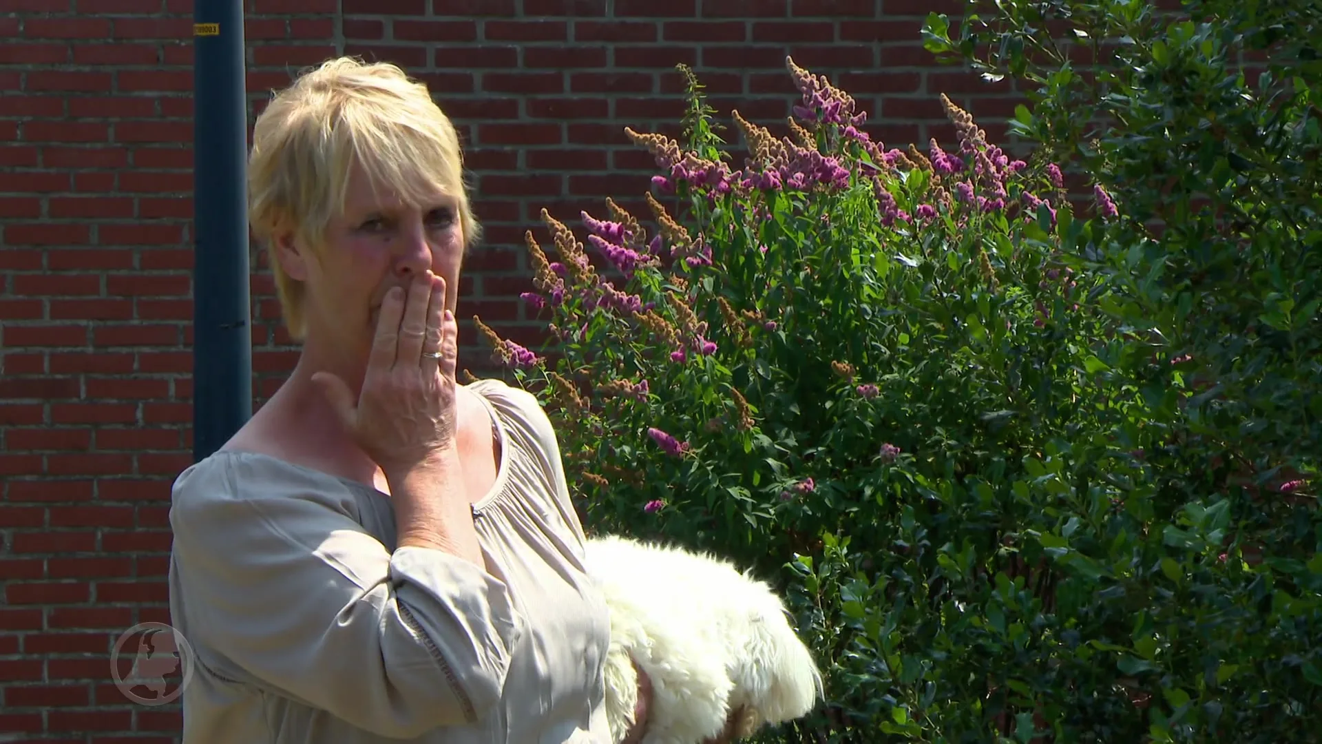 Rottweiler bijt hondje dood: buurt eist actie