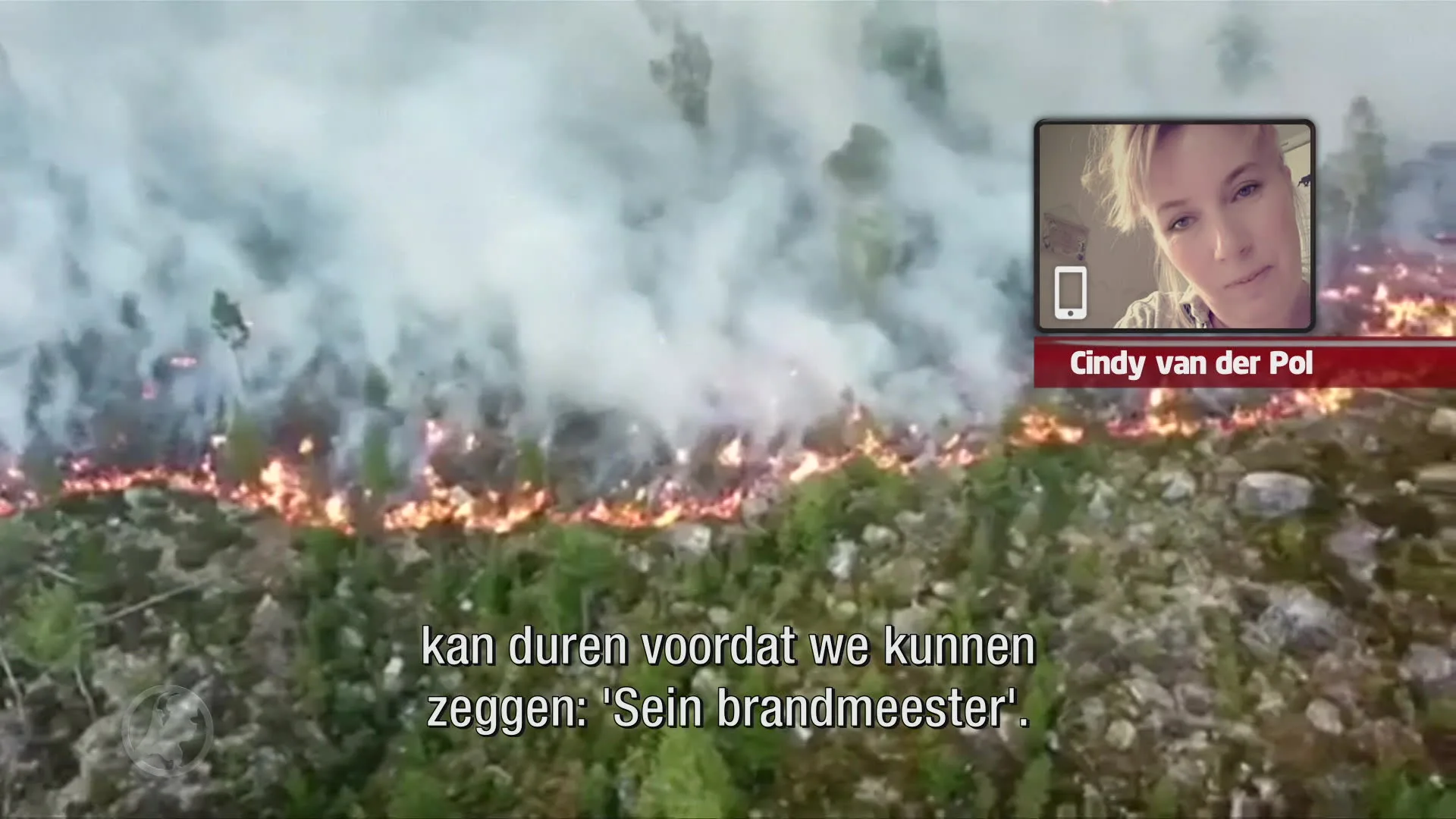 Zweden wordt geteisterd door enorme bosbranden