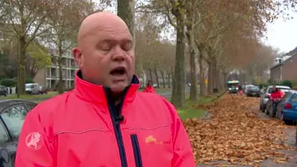 Het is volop herfst, de bladblazers draaien overuren