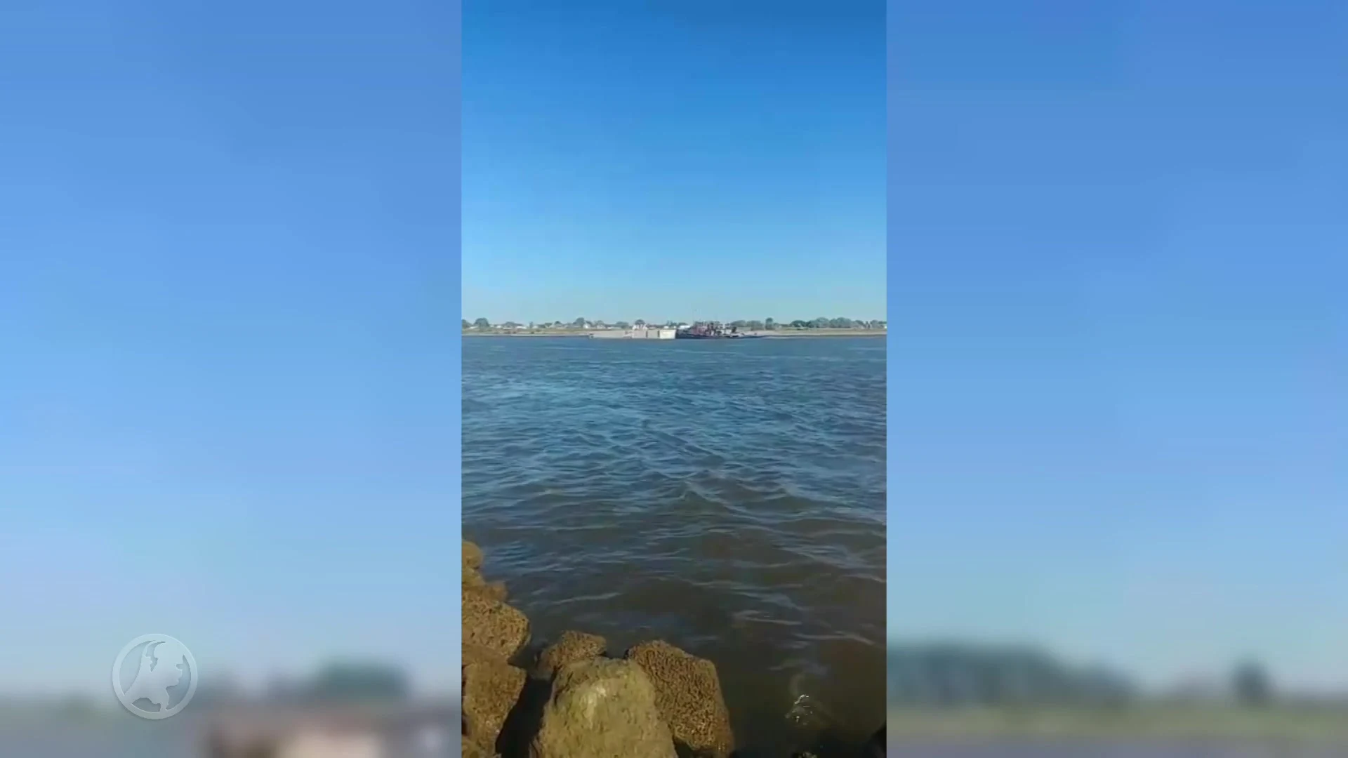 Dit is de eerste drijvende zuivelboerderij ter wereld