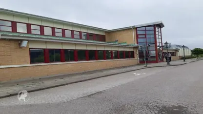 Senegalezen met Nederlandse stiefmoeder verzeilt in Zweeds visumdrama