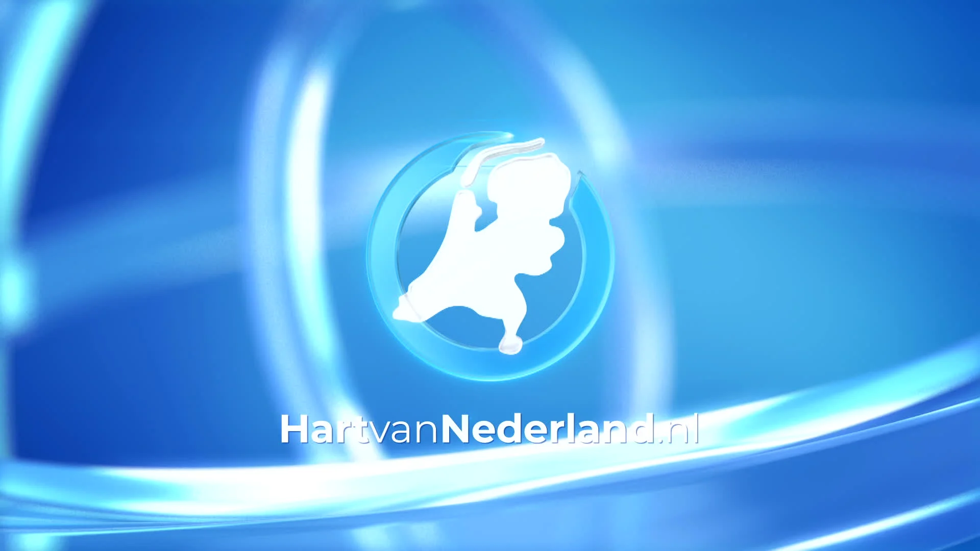 Verkeersdode door ongeluk A50 Grijsoord