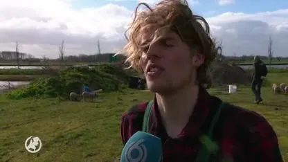 Houten laat varkens los om de overlast van grauwe ganzen te bestrijden