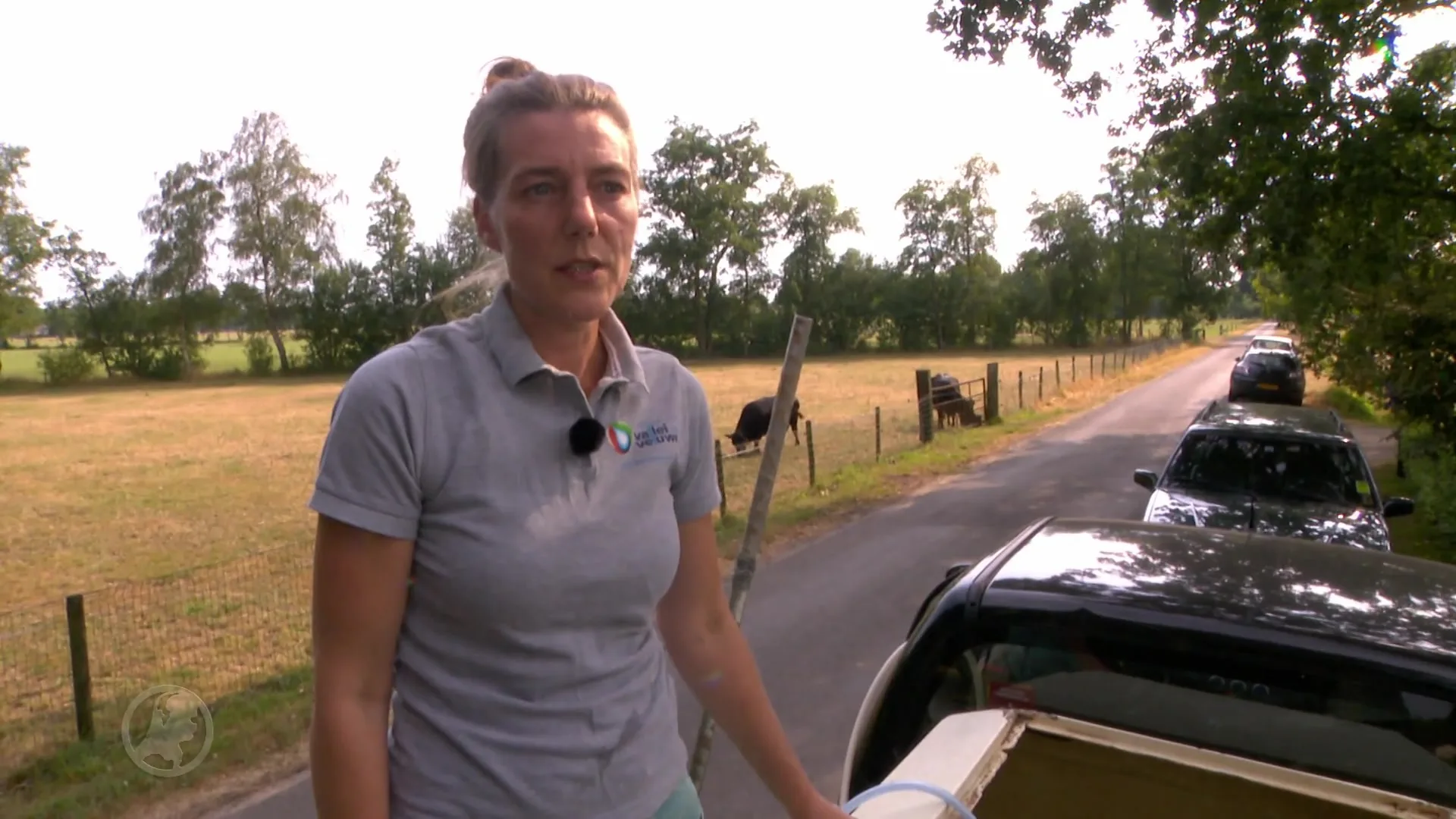 Droogte funest voor beekvissen