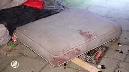 Man zwaar gewond na aanval door honden in Nijmegen