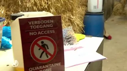 Paardenexporteur Aniek verliest bijna 2000 euro per dag door het coronavirus