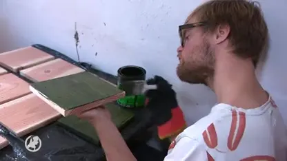 Sint-Michielsgestel bestrijdt eikenprocessierups met... vogelhuisjes?