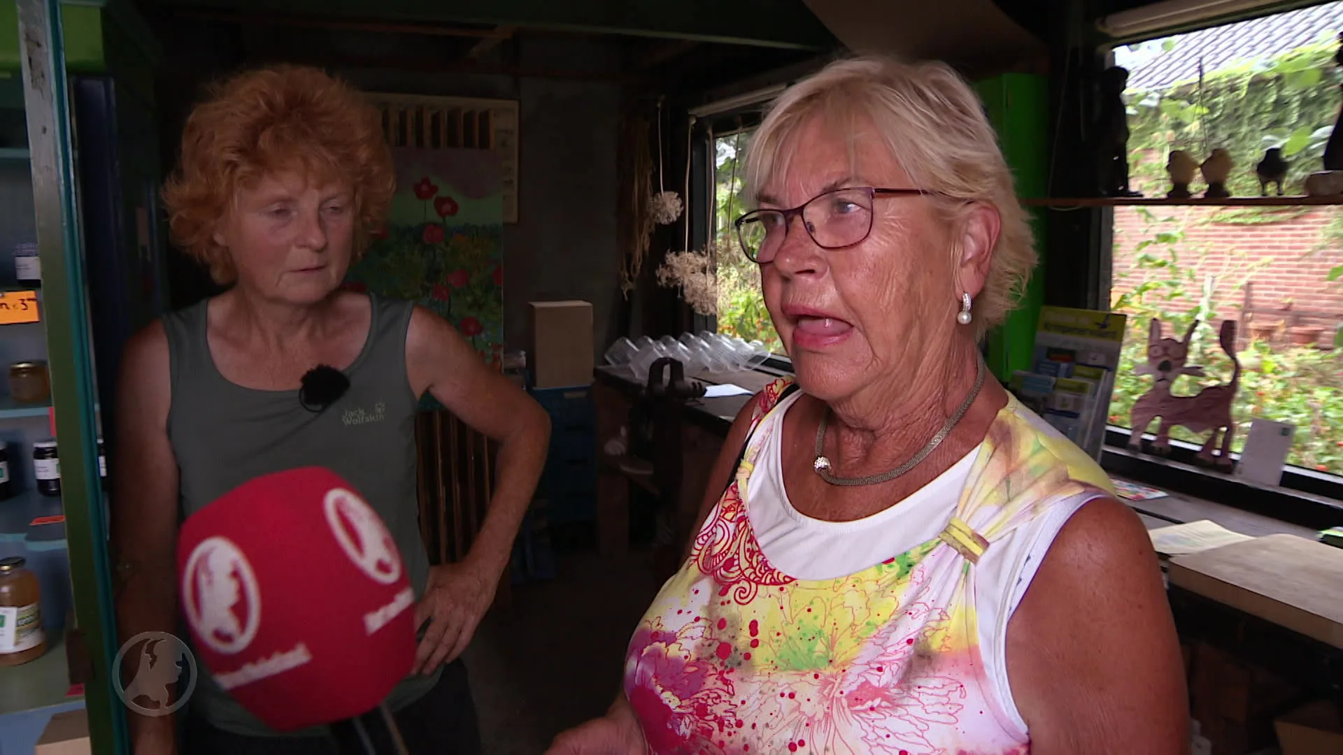 Blauwe bessen zijn niet aan te slepen in Nederland