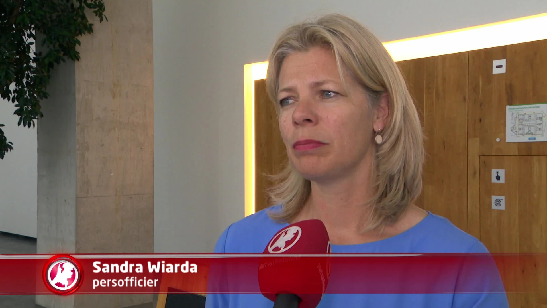 Vlogger Snapking krijgt werkstraf voor belediging