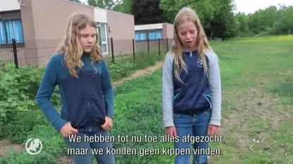 Dierenopvang verlaat terrein na zoveelste dierenmishandeling: 'Dit is echt een trap in mijn ziel'