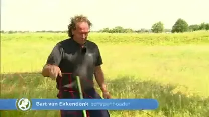 De eerste wolfwerende netten en zoogdiervereniging roept op om niet zelf op zoek te gaan