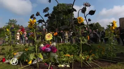 Een zee aan zonnebloemen om slachtoffers te herdenken: 'Het is nog maar zo kort geleden'