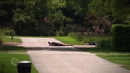 Hulpdiensten houden grote antiterreuroefening in Keukenhof