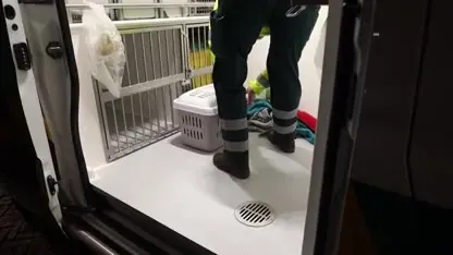 Teamwork: medewerkers van dierenambulance, brandweer en politie redden zwaargewonde kat vanonder motorkap