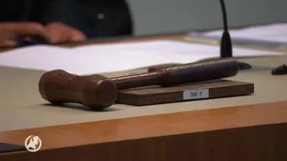 'Er moet een tuchtraad komen voor rechters'