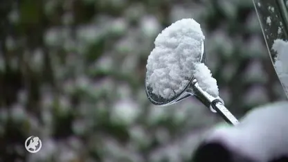 Moet je vandaag afrijden, dan heb je pech: veel examens geschrapt