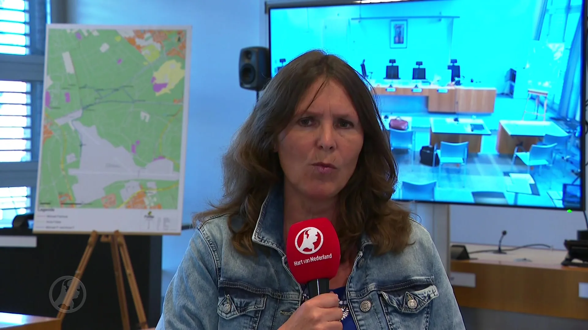 Anne Faber gedood toen ze om hulp schreeuwde naar voorbijganger