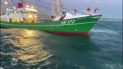 Komt gestrande Urker viskotter nu eindelijk los?