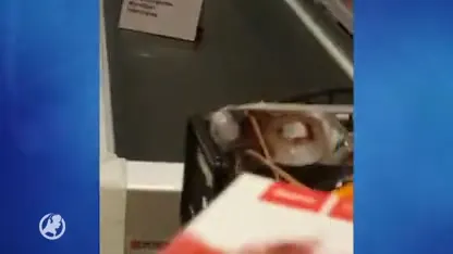 Gewapende overval op Alkmaarse supermarkt gefilmd met mobieltje