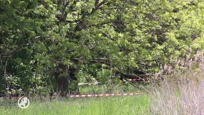 Verdachte opgepakt voor moord op Hidde Bergman in Groningen