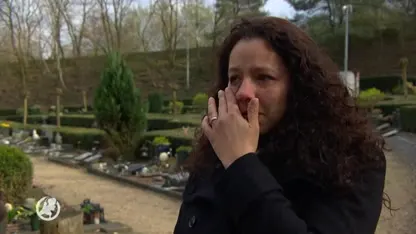 Urn overleden Irma teruggevonden