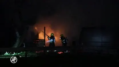 Paarden ontsnappen aan vlammenzee in Halfweg