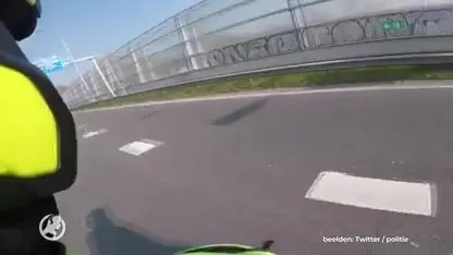 Motoragent helpt moedereend en haar kroost de snelweg over