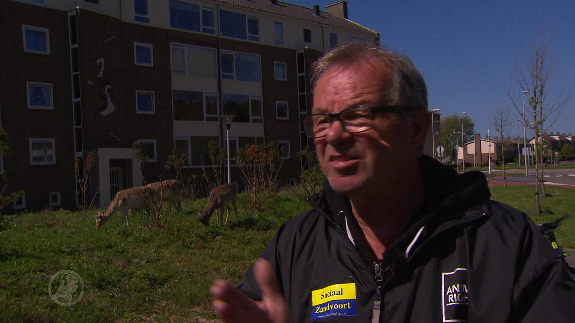 'Hertenfluisteraar’ Willem wil hek in wijk voor veiligheid mens én dier