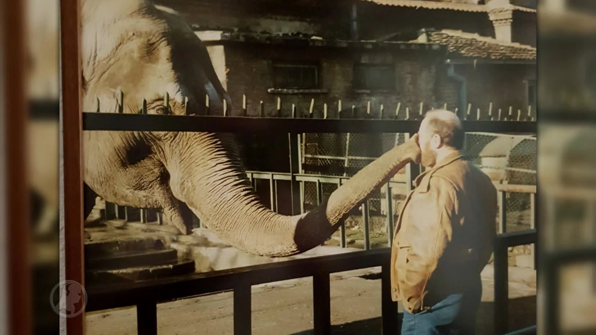 Zo zoet! Olifant Twiggy herkent verzorger nog na 28 jaar
