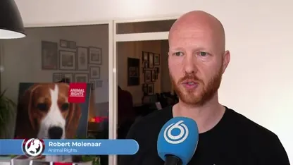 Steeds meer honden en katten gebruikt voor dierproeven