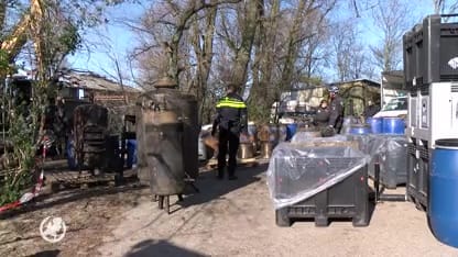 Zeeuws drugslab ontploft, 28 schapen en lammetjes omgekomen