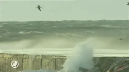 Nederlands gezin overvallen en meegesleurd door vloedgolf in Spanje