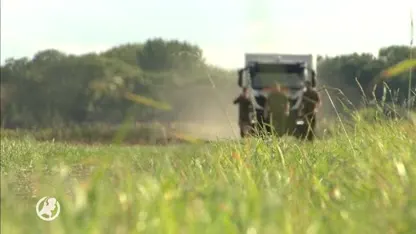 Bijna 200 landmijnen tot ontploffing gebracht in weiland 's-Gravendeel