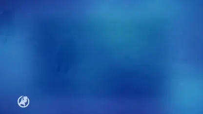 Andy gaat Nederland vertegenwoordigen op WK Lawine-honden